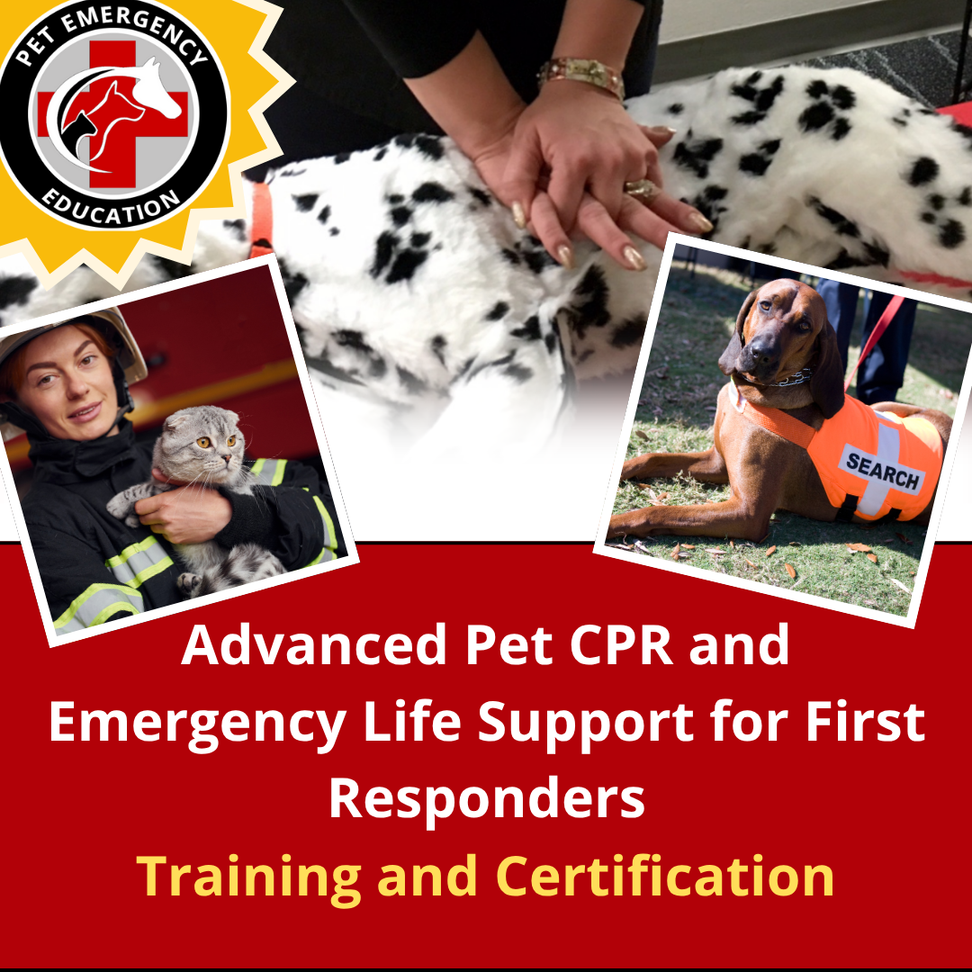Advanced Canine and Feline CPR and Emergency Life Support for First Responders Certification Class- Wednesday 11/19/25 at 7pm EST/6pm CST/5pm MST/4pm PST