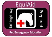 equiaid logo new 2018 equiaid logo new 2018