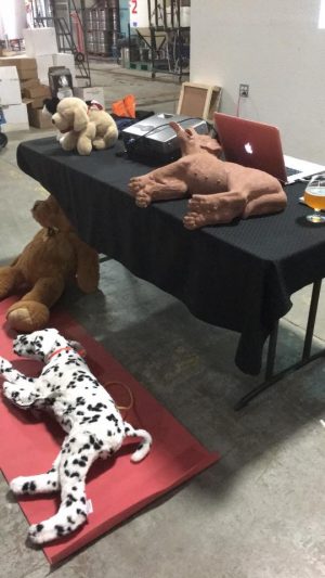 Instructor's Canine and Feline CPR and First Aid Supply Kit - Image 2