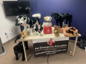 Instructor's Canine and Feline CPR and First Aid Supply Kit - Image 3