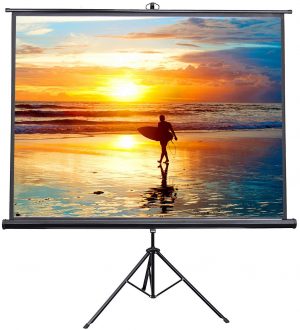 Portable Projector Screen