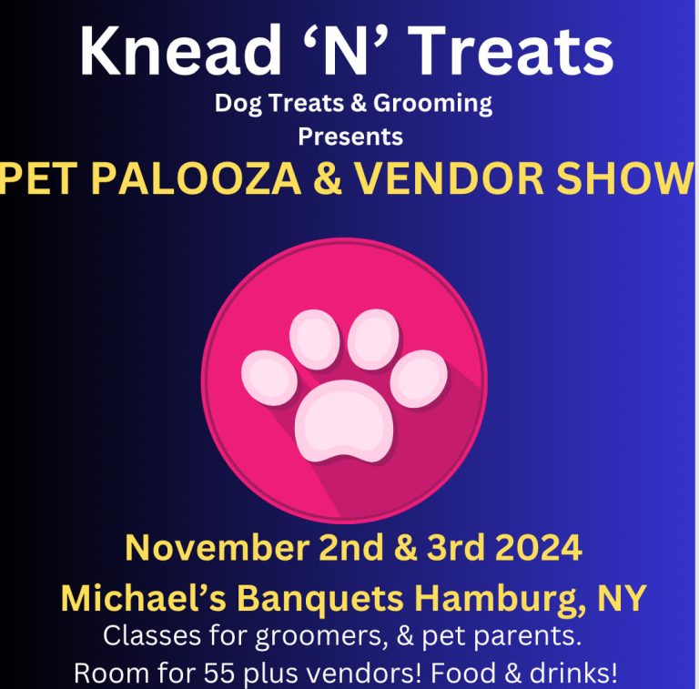 11/2/24 9am1pm Pet CPR and First Aid Certification Class Knead ‘N