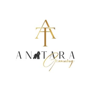 3/7/26 11:30am-2:30pm Pet CPR and First Aid Certification Class at An Tara Grooming Watertown, NY