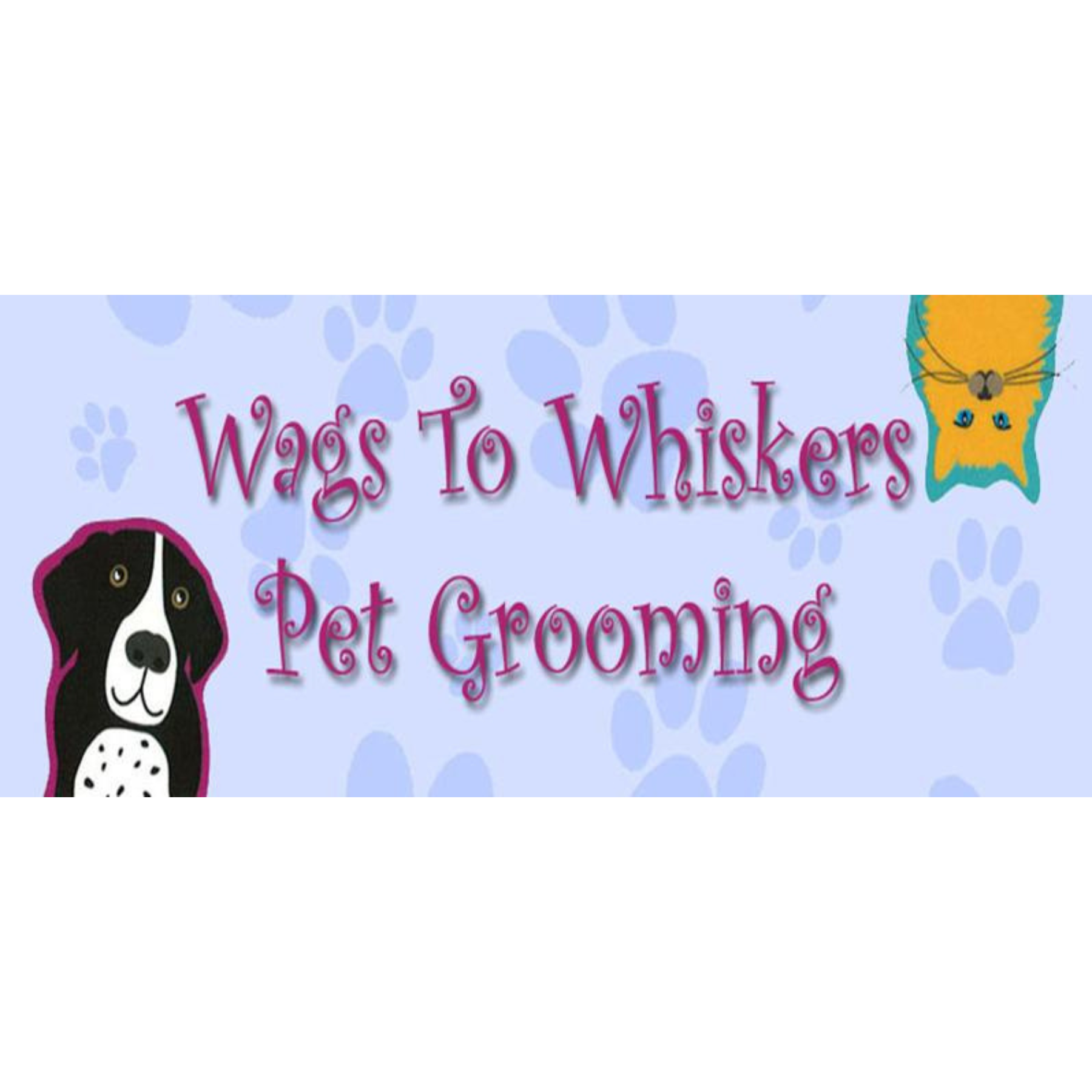 9/7/24 36pm Pet CPR and First Aid Certification Class Wags to Whiskers