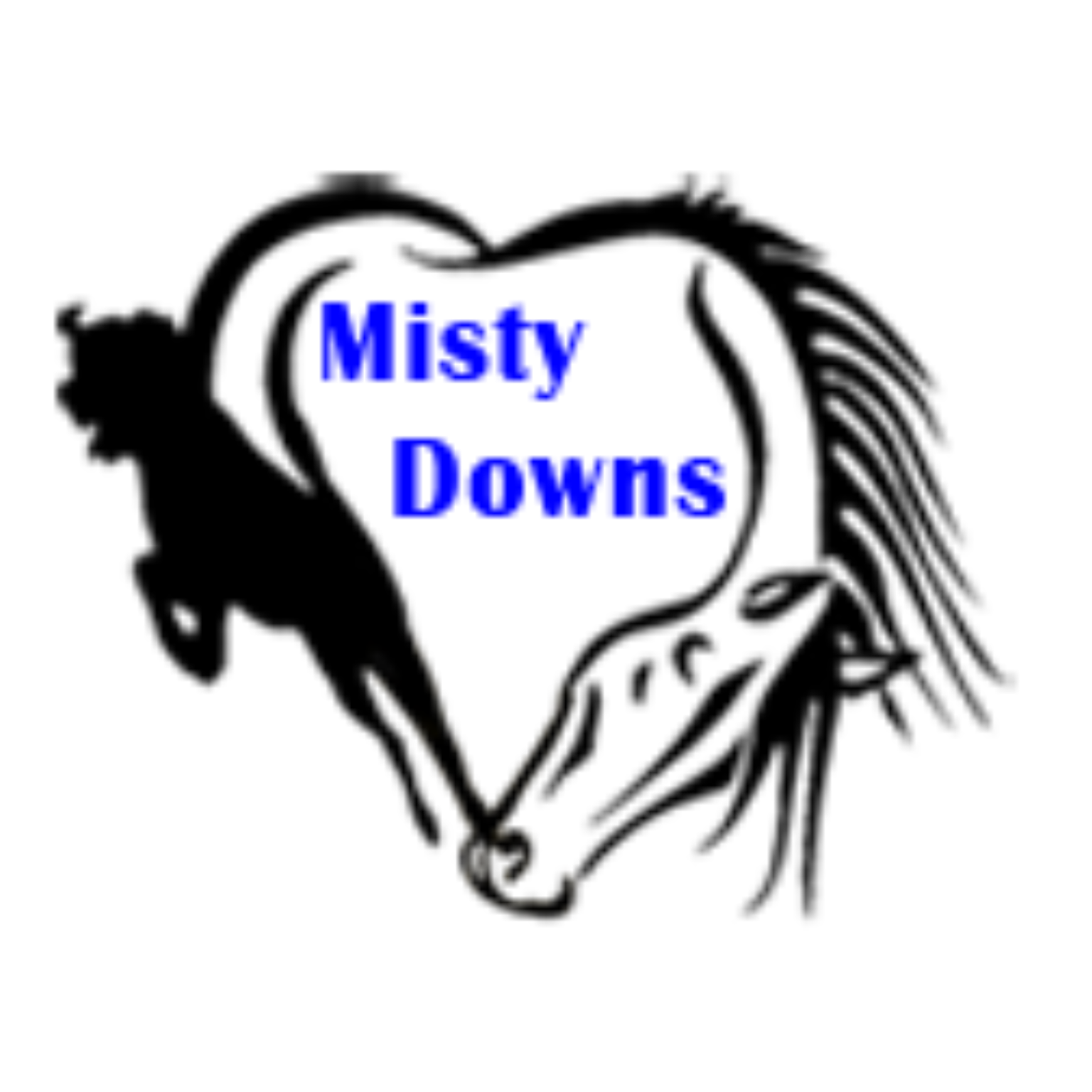 1/11/25 11am2pm Pet CPR and First Aid Certification Class Misty Downs