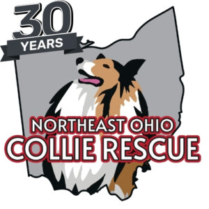 4/27/25 1:30-4:30pm Canine and Feline CPR and First Aid Certification Class Fundraiser for Northeast Ohio Collie Rescue