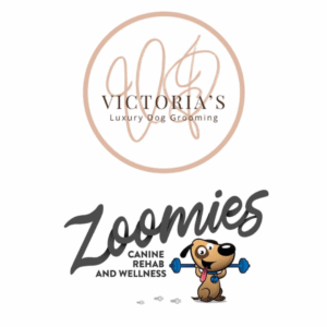 6/7/25 10am-1pm Pet CPR and First Aid Certification Class Victoria's Luxury Dog Grooming/ Zoomies Rehab Sayre, PA