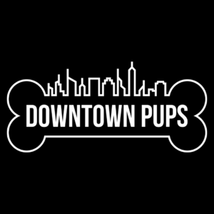 7/20/25 10am-1pm Canine and Feline CPR and First Aid Certification Class at Downtown Pups Hopewell, VA