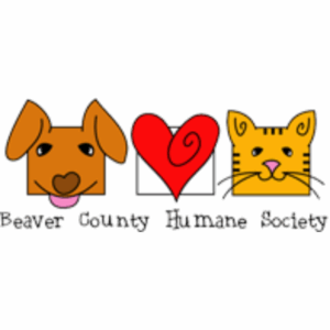 10/5/25 2-5pm Canine and Feline CPR and First Aid Certification Class and Fundraiser Aliquippa, PA