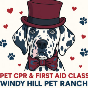 11/1/25 12-3pm Canine and Feline CPR and First Aid Certification Class at Windy Hill Pet Ranch Crawfordsville, IN