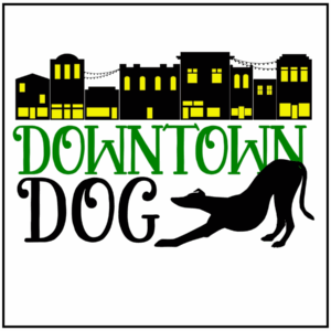 1/11/26 2-5pm Canine and Feline CPR and First Aid Certification Class at Downtown Dog New Castle, IN