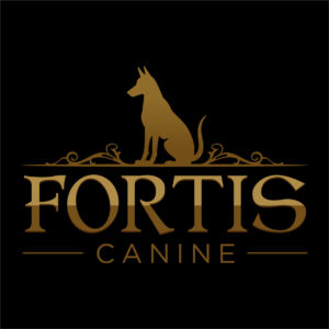 11/29/25 10am-1pm Canine and Feline CPR and First Aid Certification Class Saint Marys, GA
