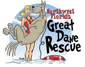 11/1/25 9am-12pm Pet CPR and First Aid Certification Class and Fundraiser for Northwest Florida Great Dane Rescue Pensacola, FL