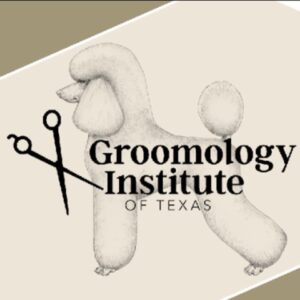 1/11/26 2-5pm Canine and Feline CPR and First Aid Certification Class Midland TX