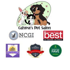 1/18/26 11am-2pm Pet CPR and First Aid Certification Class Calypso's Pet Salon Bristol, RI