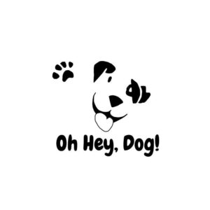 2/20/26 5:30-8:30pm Canine and Feline CPR and First Aid Certification Class and Fundraiser Gainesville, FL