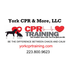 3/28/26 10am-1pm Canine and Feline CPR and First Aid Certification Class hosted by York CPR & More