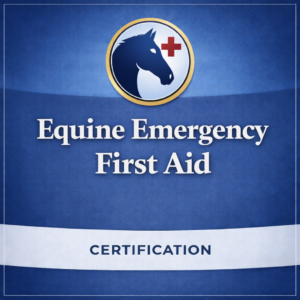 7/15/26 at 7pm EST/6pm CST/5pm MST/4pm PST Equine Emergency First Aid Certification Virtual Live Class